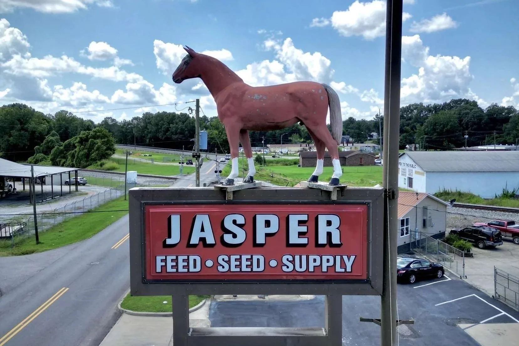 Sign for Jasper Feed, Seed, and Supply with a large wooden horse sculpture on top, situated above a small town street with parked cars and buildings in the background.