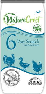 Nature Crest 6-way scratch no soy/comp toothbrush packaging with ducks graphic and Eco-friendly USA label.