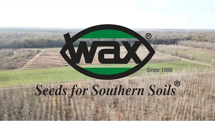 A logo for WAX Seeds over a background of agricultural fields with trees and clear sky in the distance.