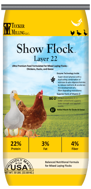 Bag of Tucker Milling Show Flock Layer 22 poultry feed featuring images of a white duck, a red chicken, and three ducklings on a green field with a blue sky background.