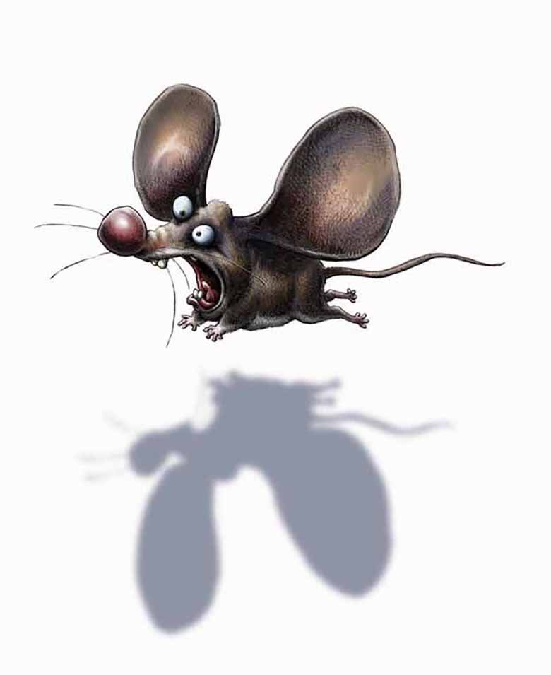 aa Ryan's Shadow Mouse.jpg