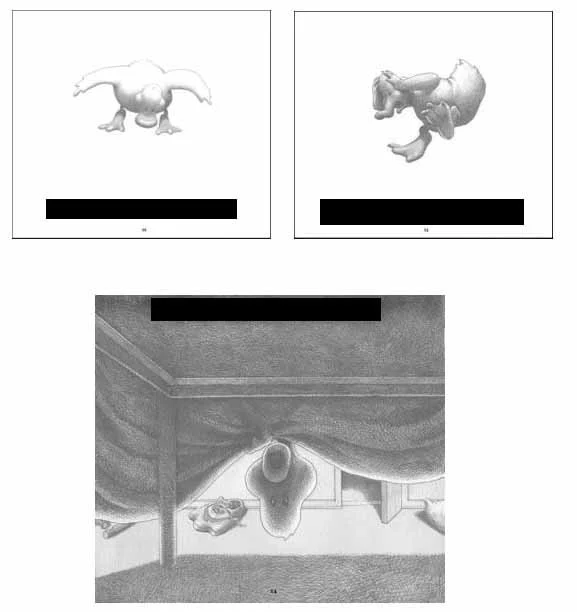 RYAN'S SHADOW (duck), Full text and illustrations_Page_05.jpg