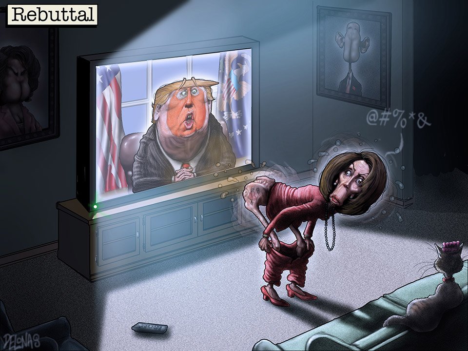 317 Trump address Rebuttal Pelosi.jpg