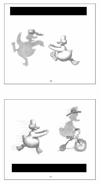 RYAN'S SHADOW (duck), Full text and illustrations_Page_08.jpg