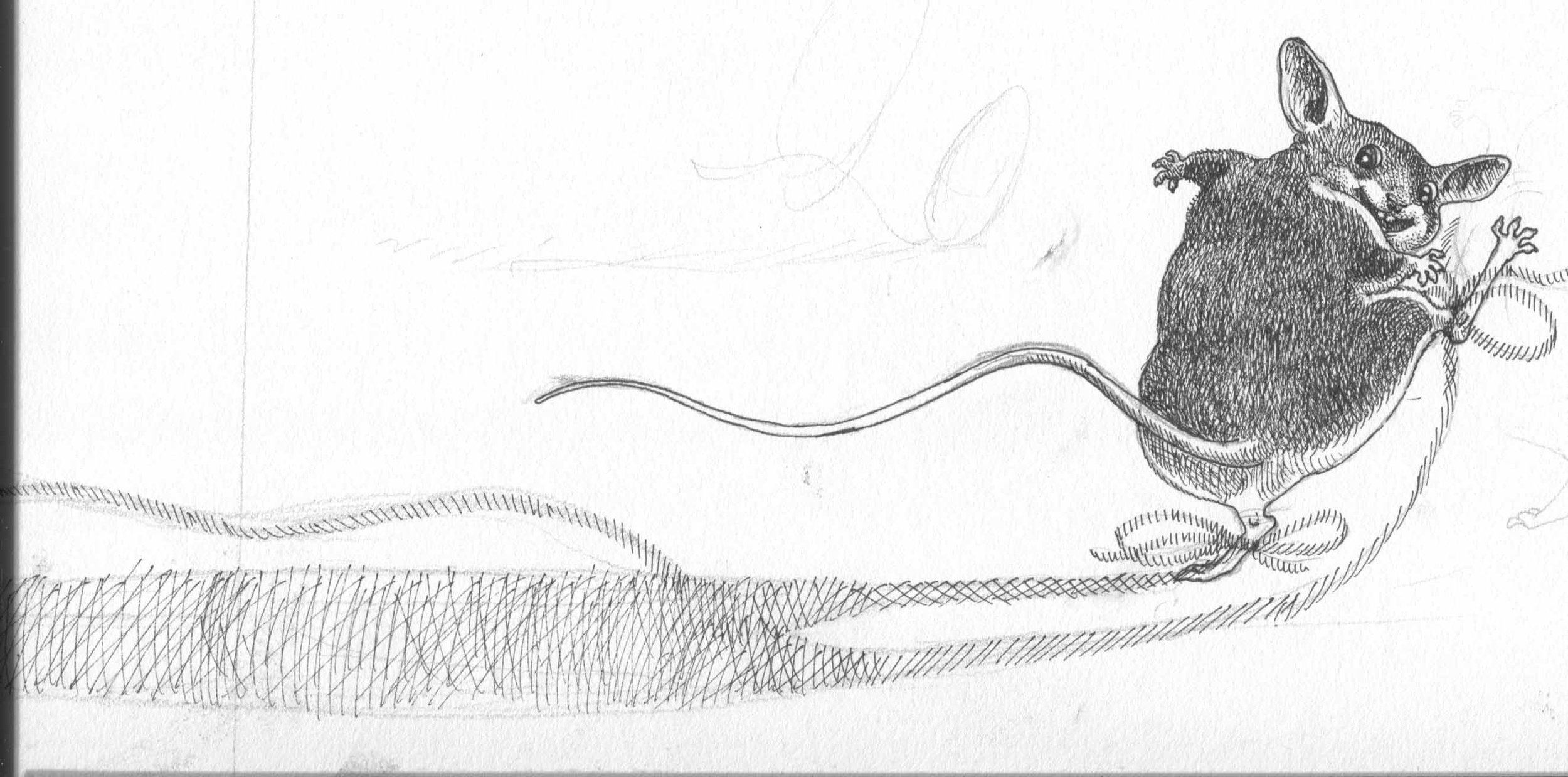 Books Ryan's Shadow ( w_Mouse)012.jpg