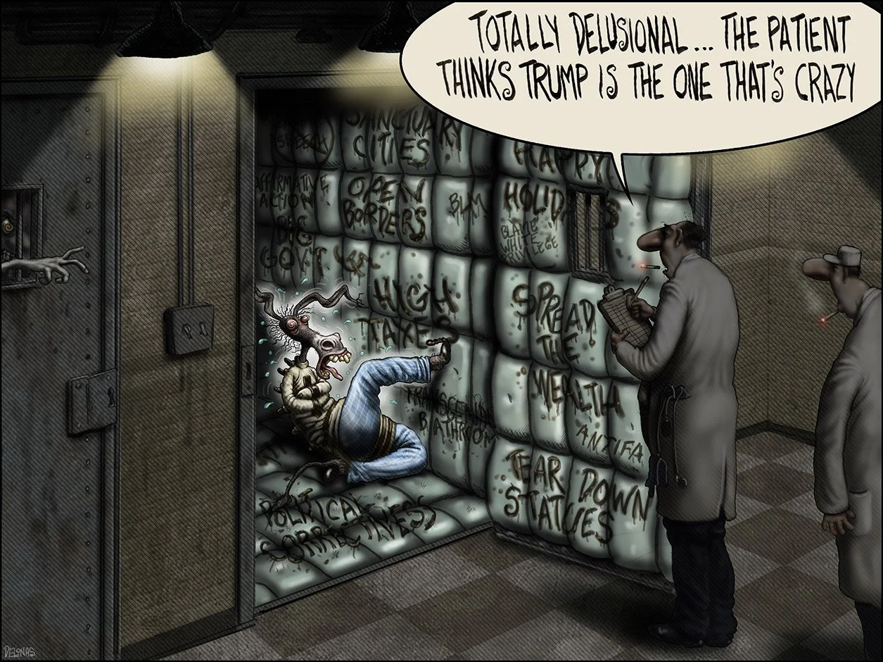 208 Democrats Trump Crazy.jpg