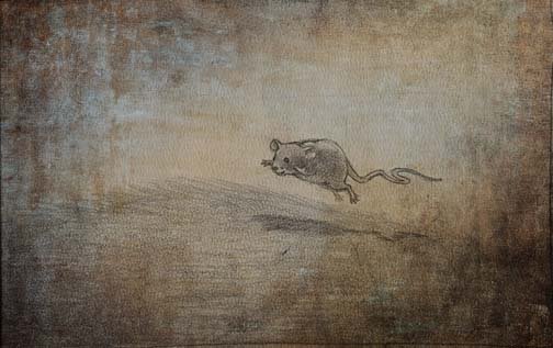 Books Great Bear005 copy.jpg