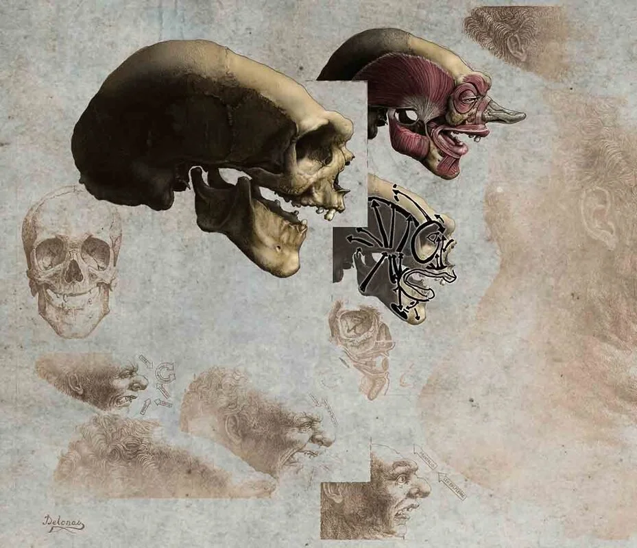 20 low-res-anatomy-color-copy-orig_orig.jpg