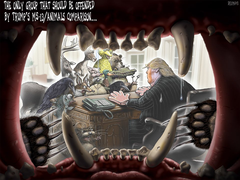 242 MS-13 Animals Trump.jpg