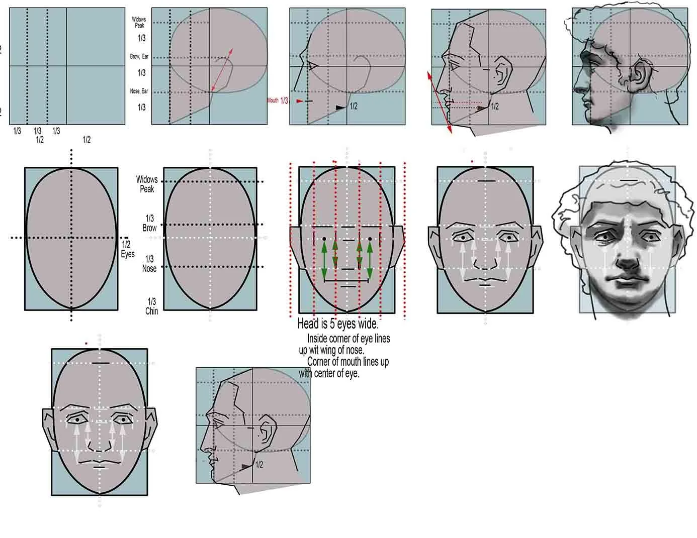 6 PORTRAIT_PROPORTION_face notes-Recovered copy.jpg
