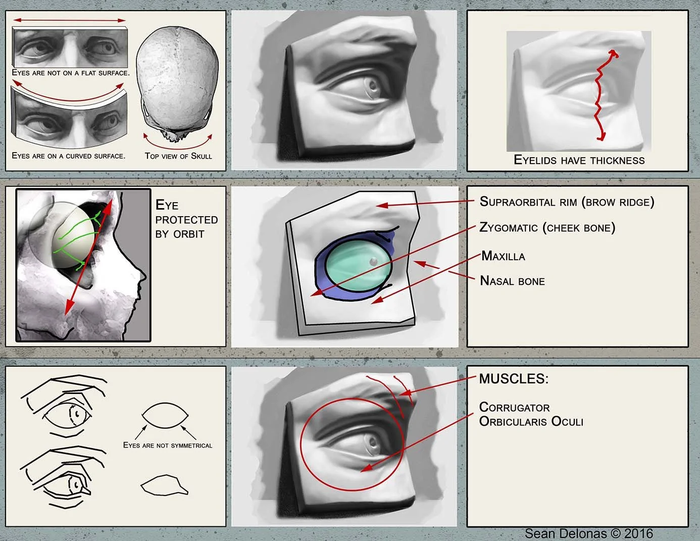 5 ORIGINAL_WORKSHEET_SIGHT_SIZING_EYE_Eye method 5.jpg