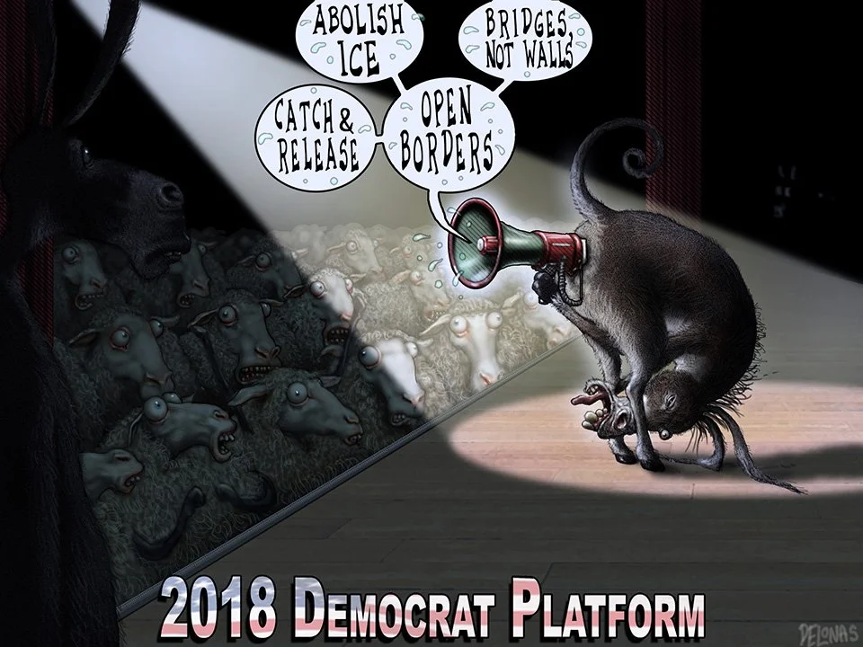 257 A Democrat Immigration.jpg