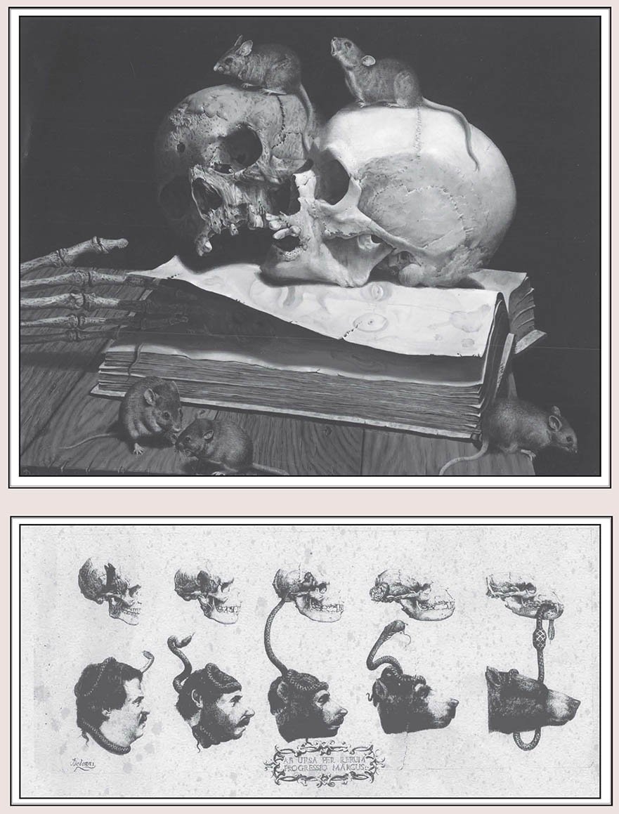 1 My life as Cartoonist Volume 3_Page_095.jpg