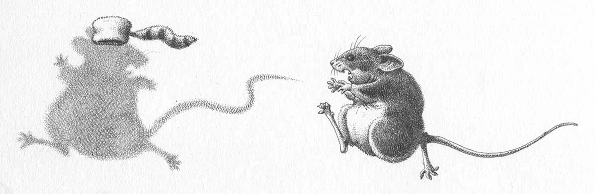 Books Ryan's Shadow ( w_Mouse)003.jpg