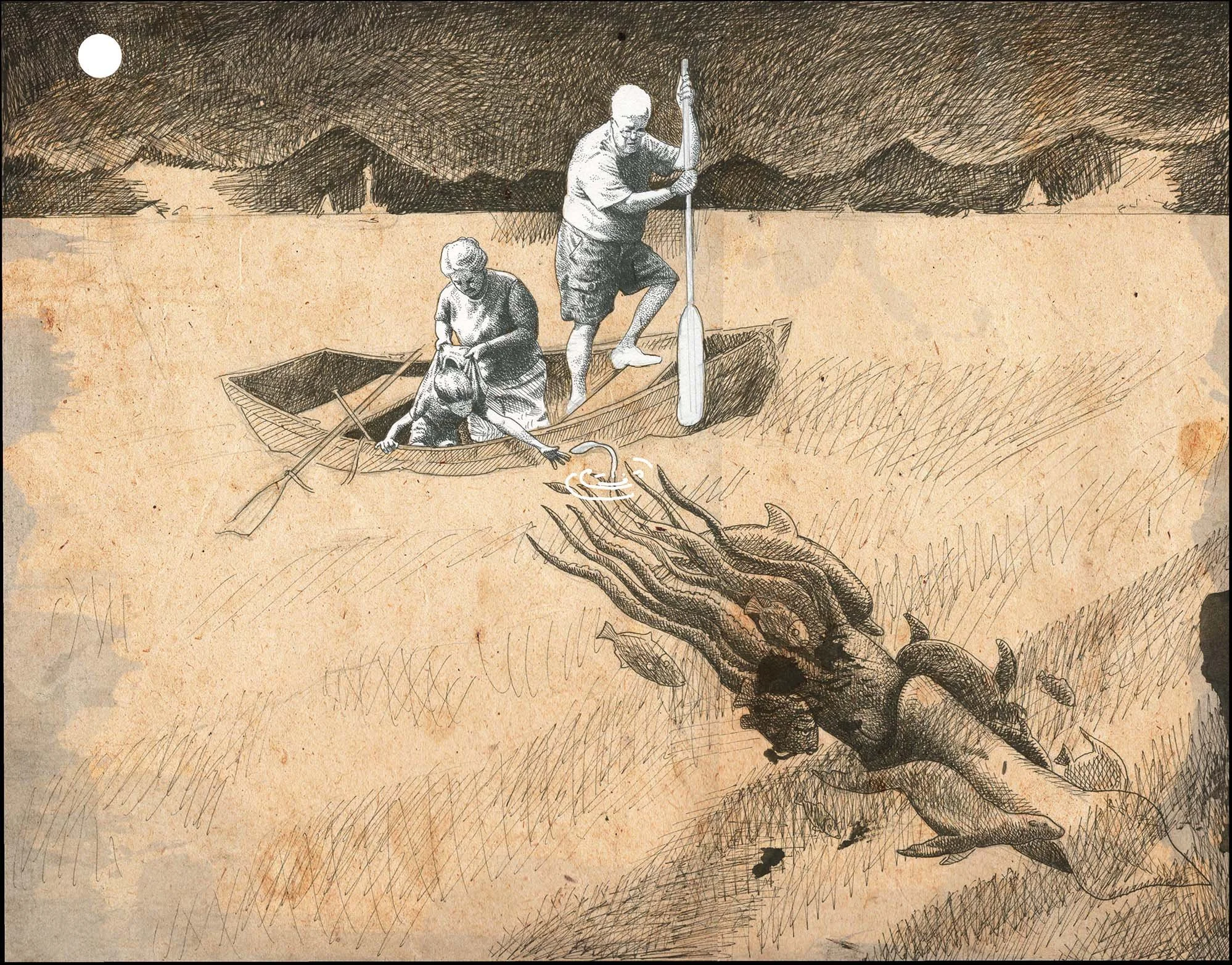 Low Res squid9 copy.jpg