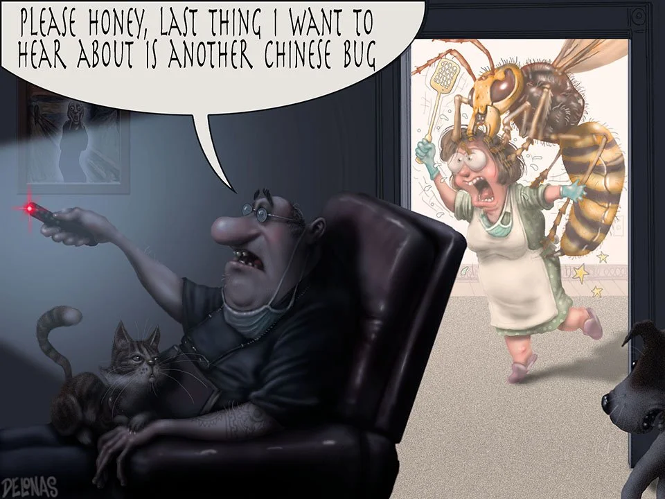 435 Chinese Murder Hornet.jpg