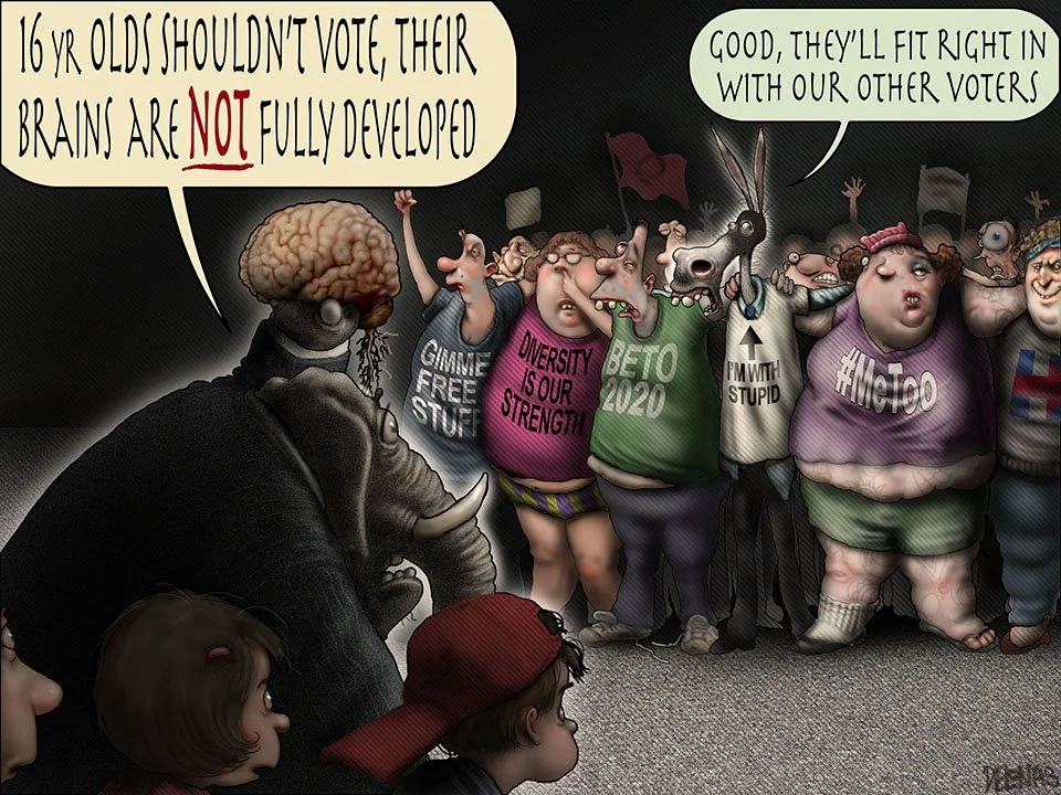 335 16 yr old voters.jpg