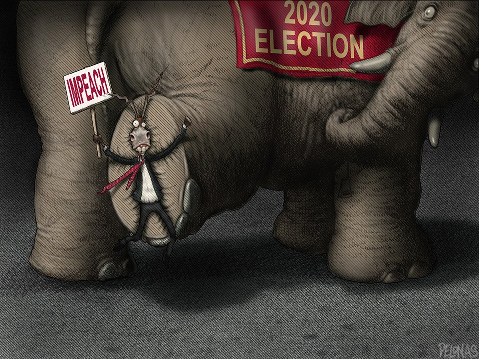 354 2020 Elections Democrats Impeach.jpg
