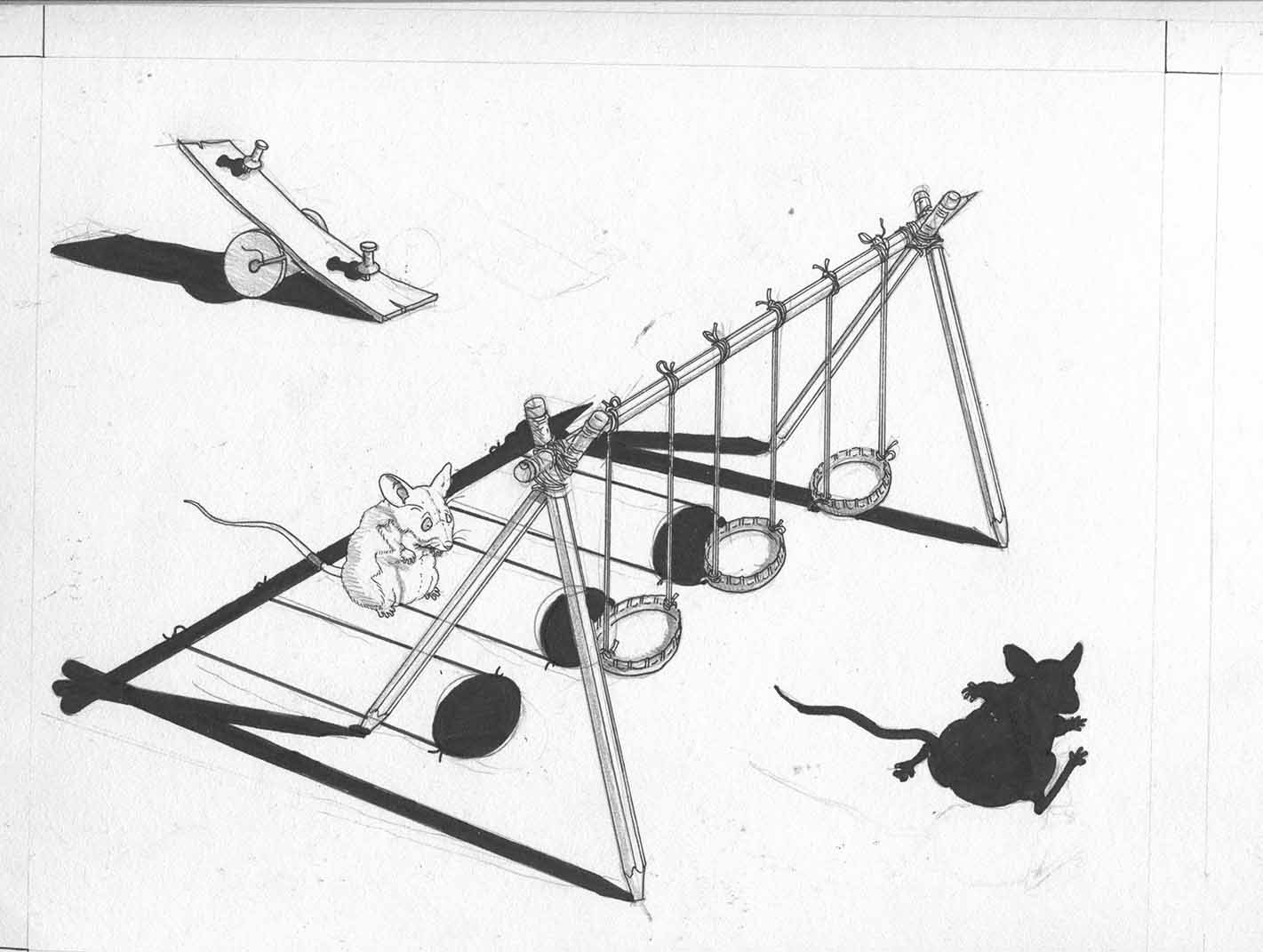 Books Ryan's Shadow ( w_Mouse)014.jpg