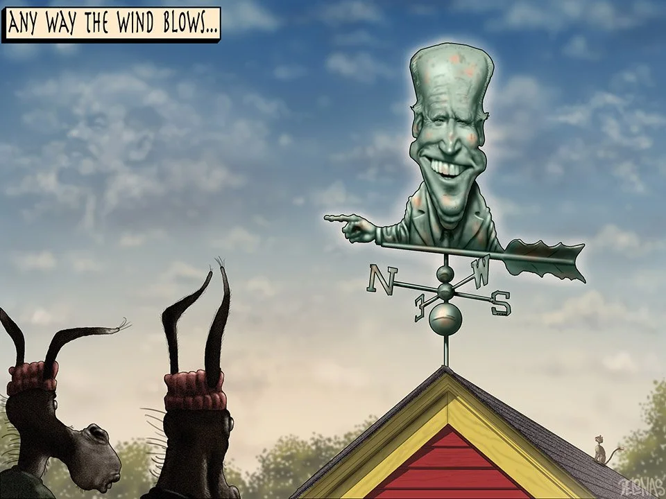 356 Biden weather vane.jpg