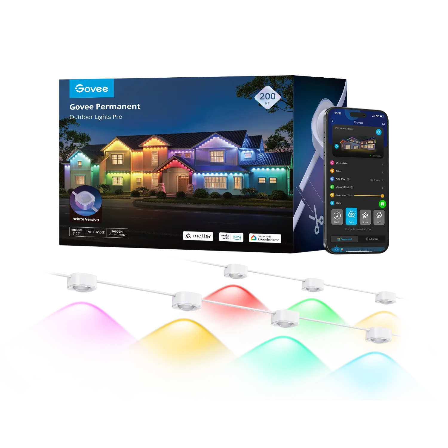 Govee Permanent Lights