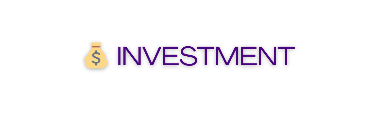 Graphic with a money bag icon and the text 'Investment' in purple.