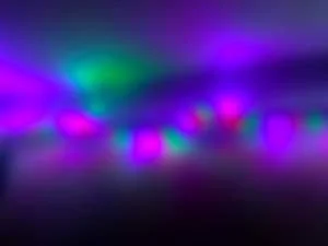 Adam_Fritz_Lights Blurred.jpg