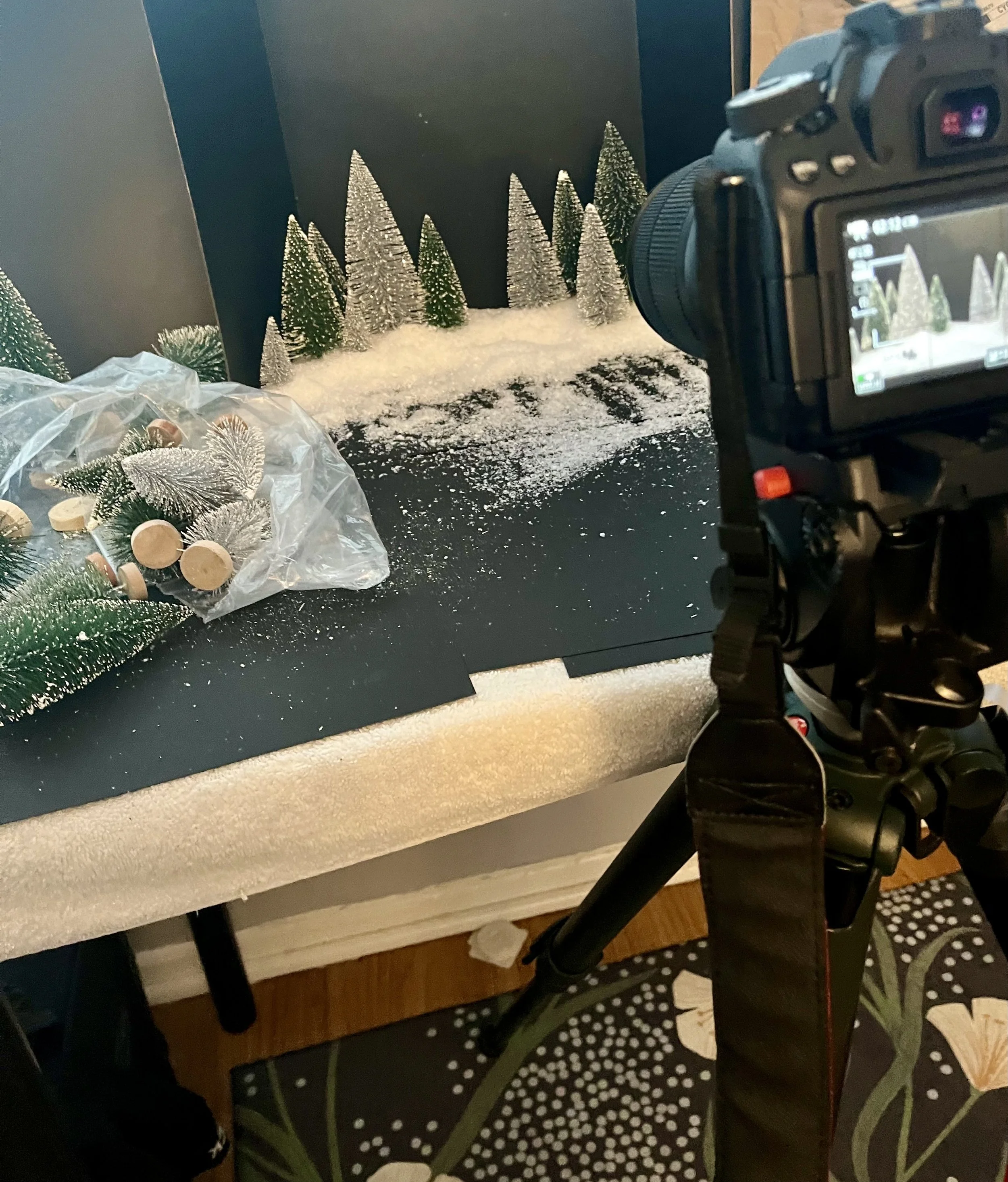 Adam_Fritz_Pact Holiday Card 2023_Behind the Scenes_3.jpg