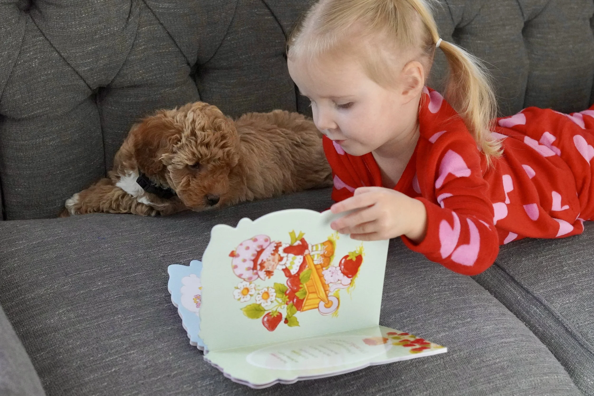 A young girl in red pajamas with pink hearts, reading a colorful children’s book while lying on a gray couch, with a small brown puppy wearing a black collar resting nearby.