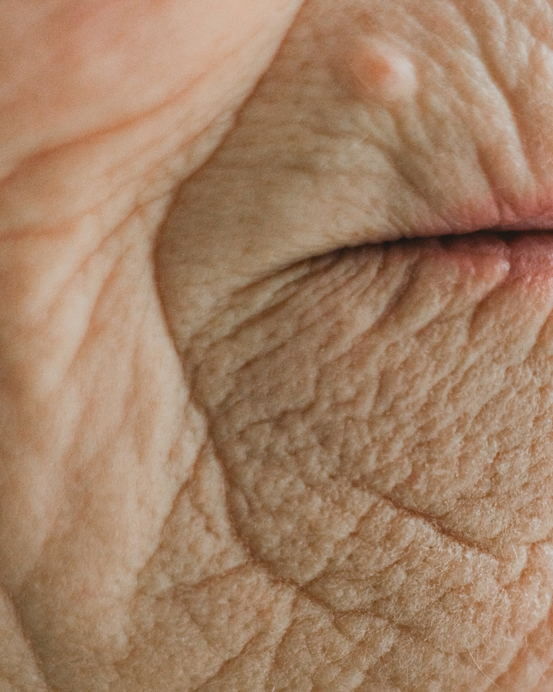 Skin Longevity: What It Actually Means