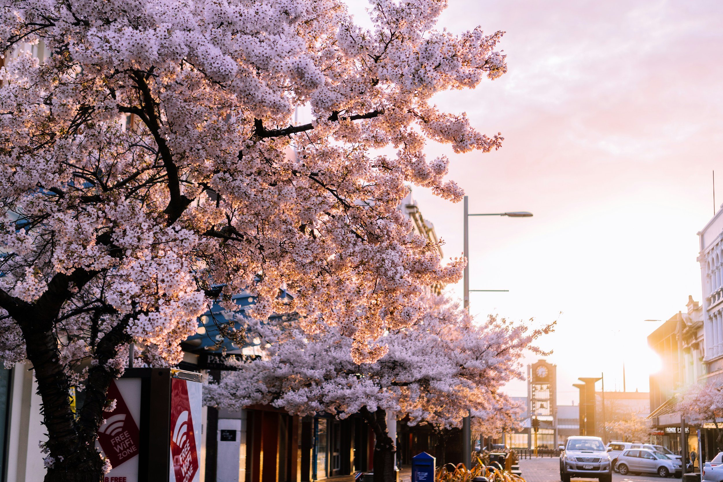Invercargill