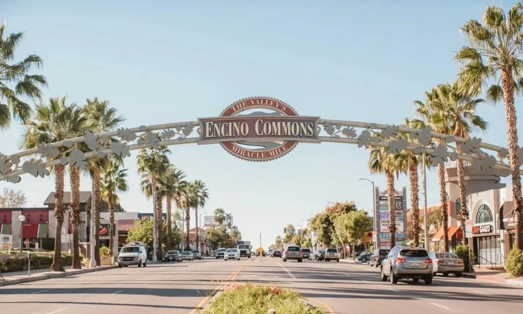 Street view of Encino Commons with palm trees, storefronts, and a clear blue sky.