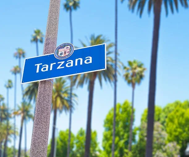 Street sign on Tarzana CA against a background of palm trees and a clear blue sky.