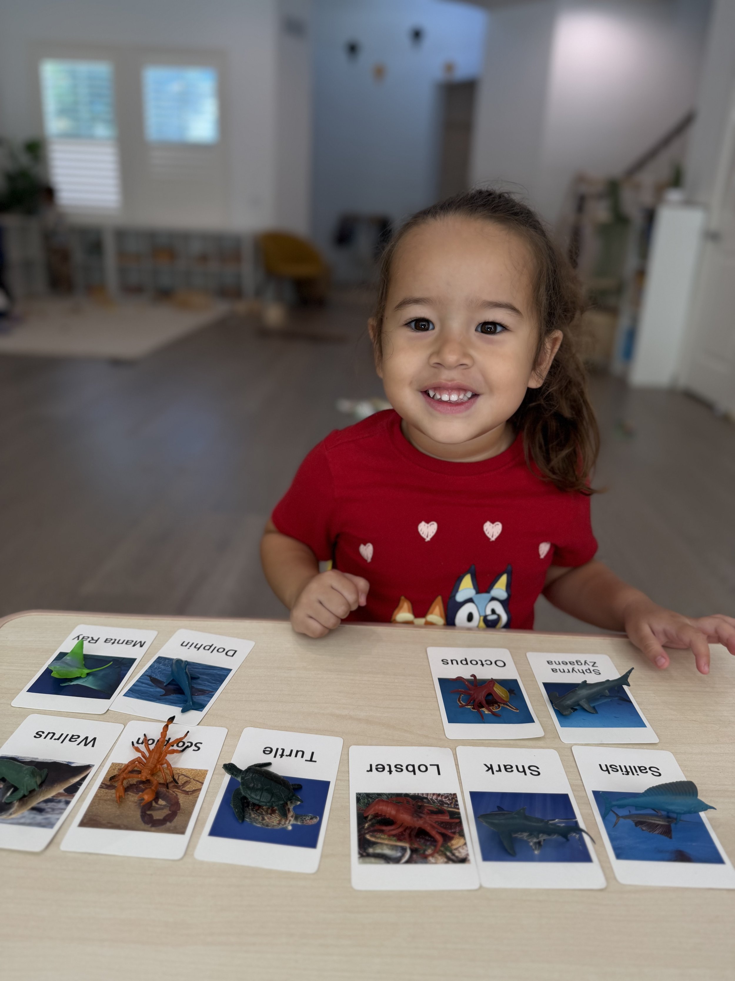 A young girl with brown hair in a ponytail, wearing a red shirt with heart designs, is smiling at the camera while playing with numbered animal flashcards on a table. The flashcards feature images of various sea creatures including a manta ray, dolphin, lantern, lobster, shark, and sailfish.