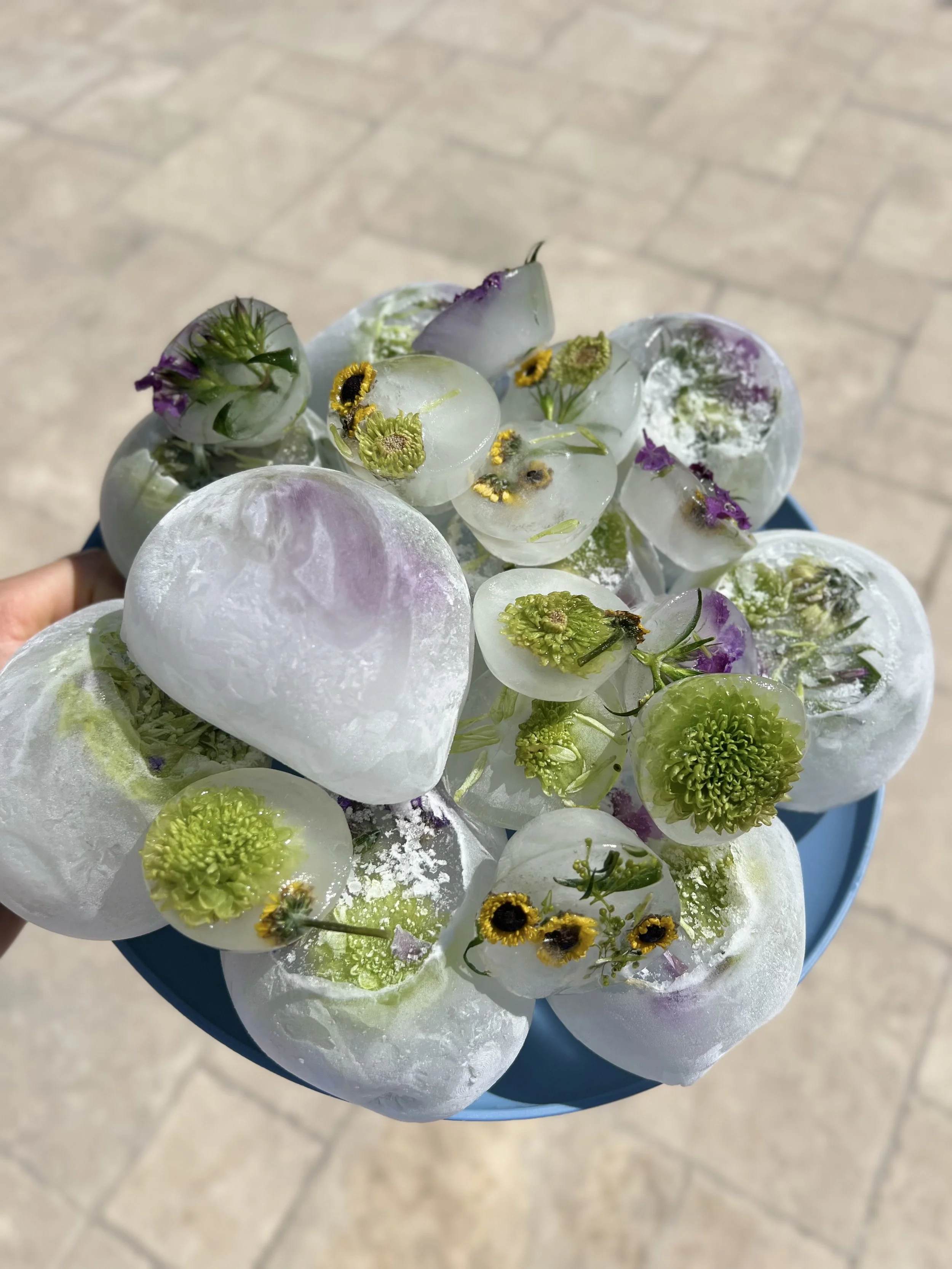 Close-up of ice cubes with embedded small flowers and greenery, held in a blue container over a tiled pavement.