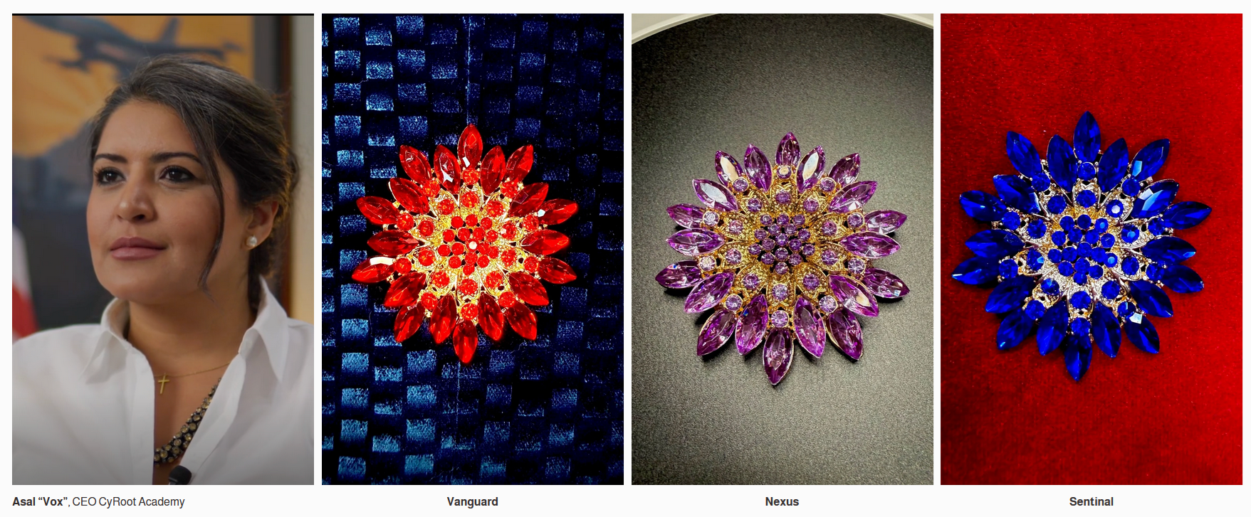 Shine a Light on Cybersecurity: The Cyber Guardians Collection