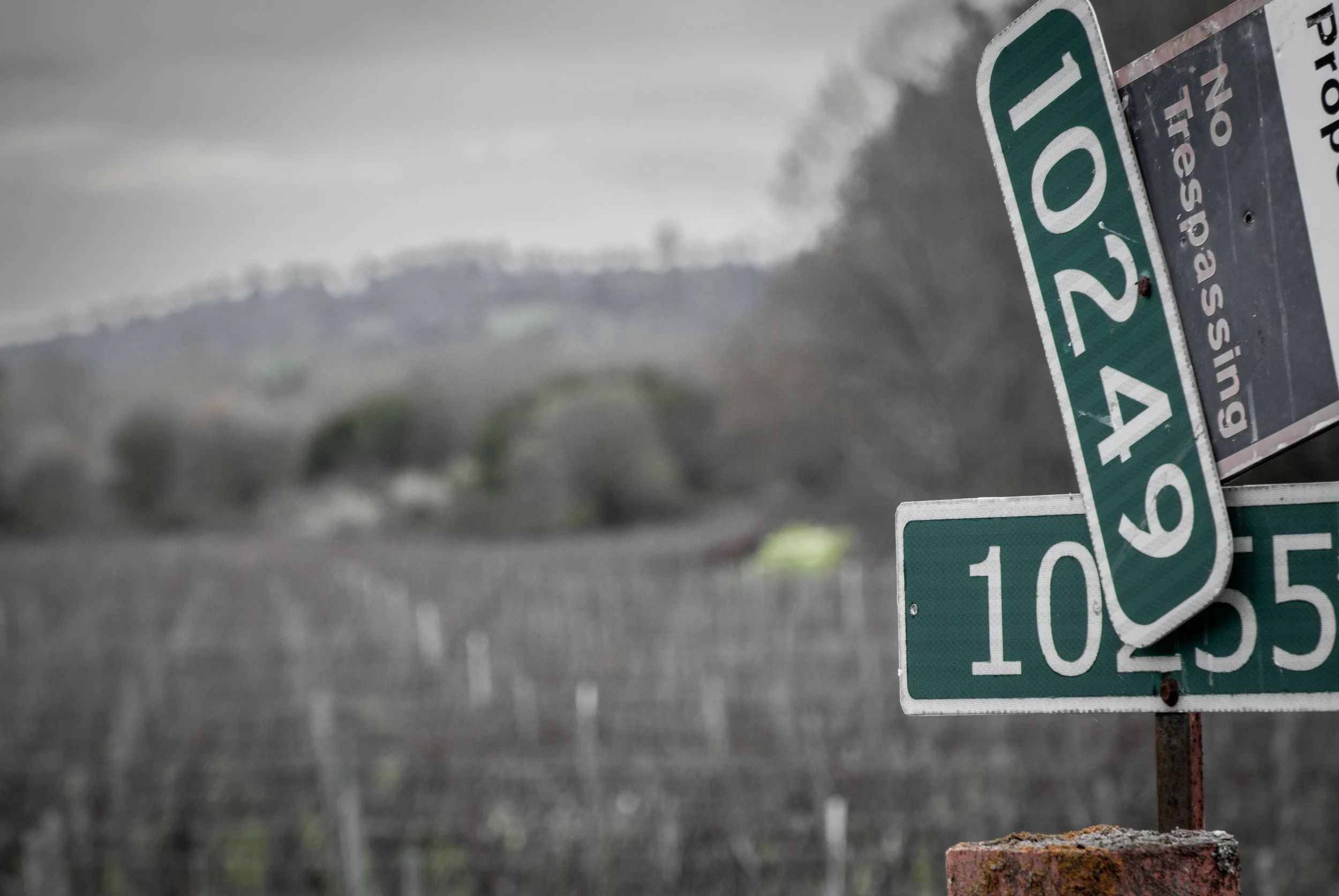 A cluster of green road signs, with one displaying the route numbers 1024, 1023, and 1055, leaning against each other in an outdoor setting with an overcast sky and a background of trees and distant hills.