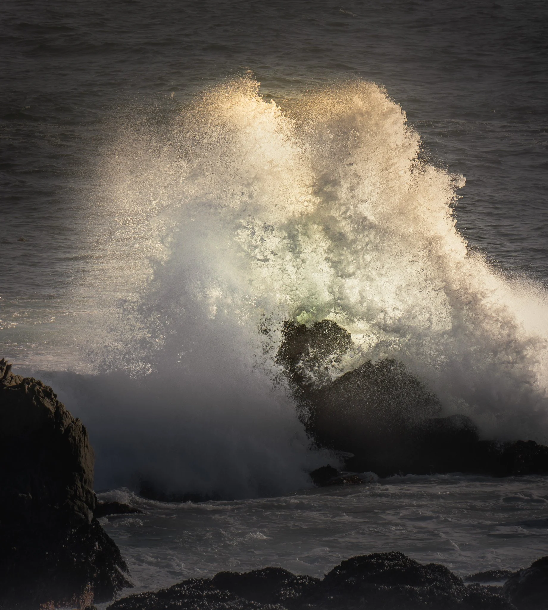 Sonoma Coast-Crashing Wave-02