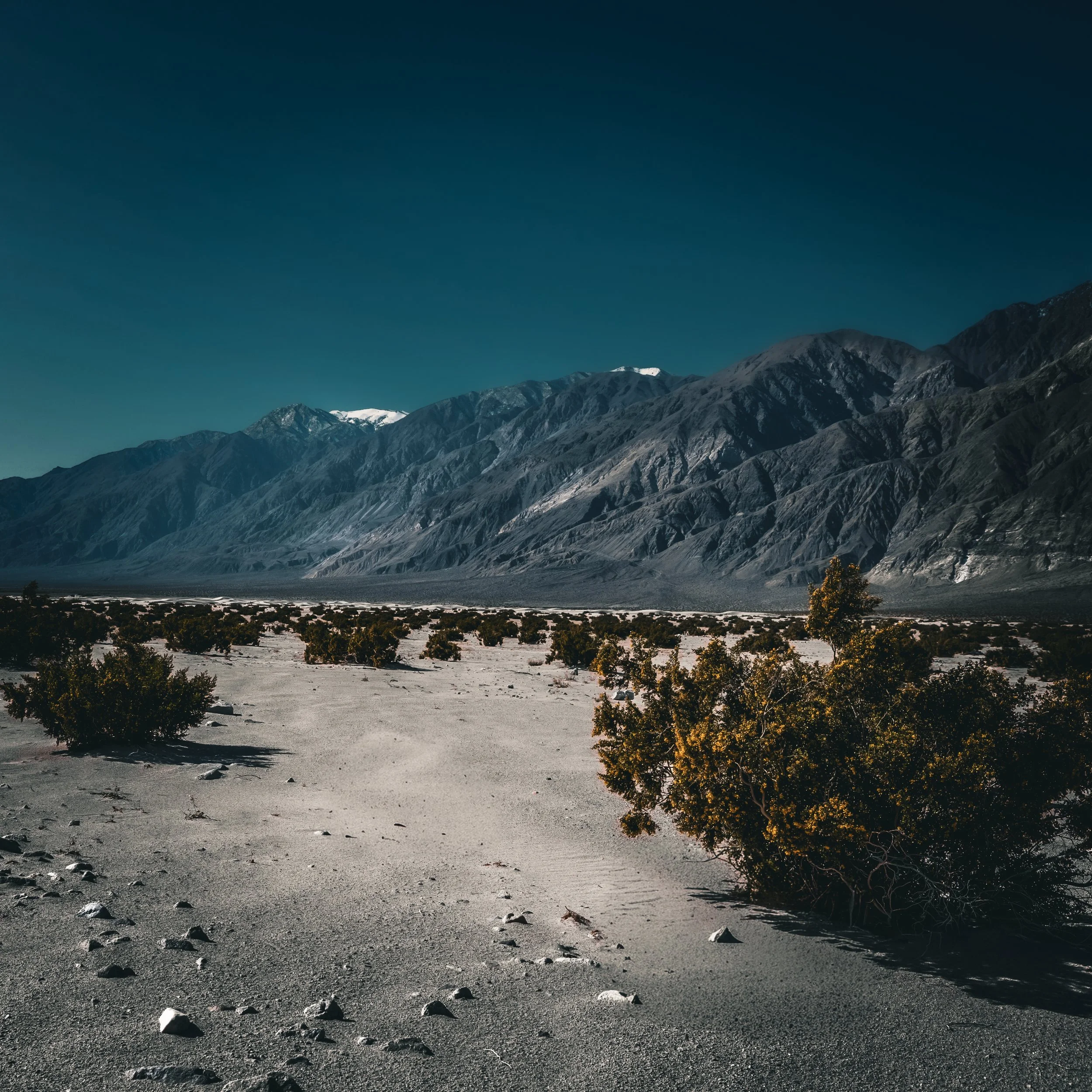 Saline Valley 
