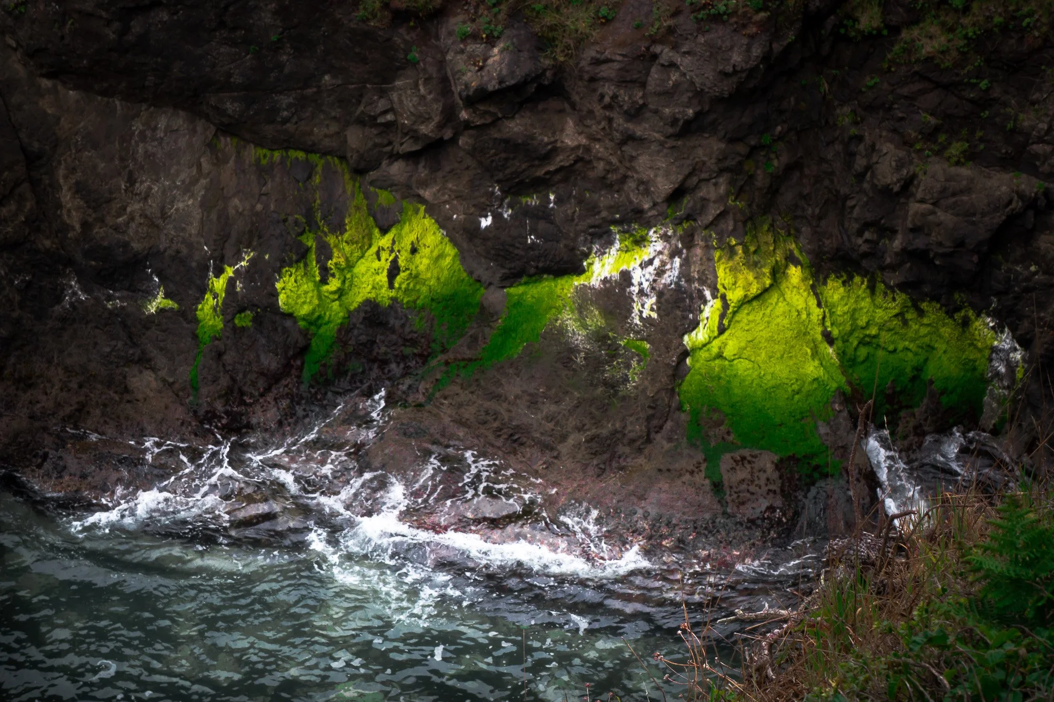 Mendocino Coast V 