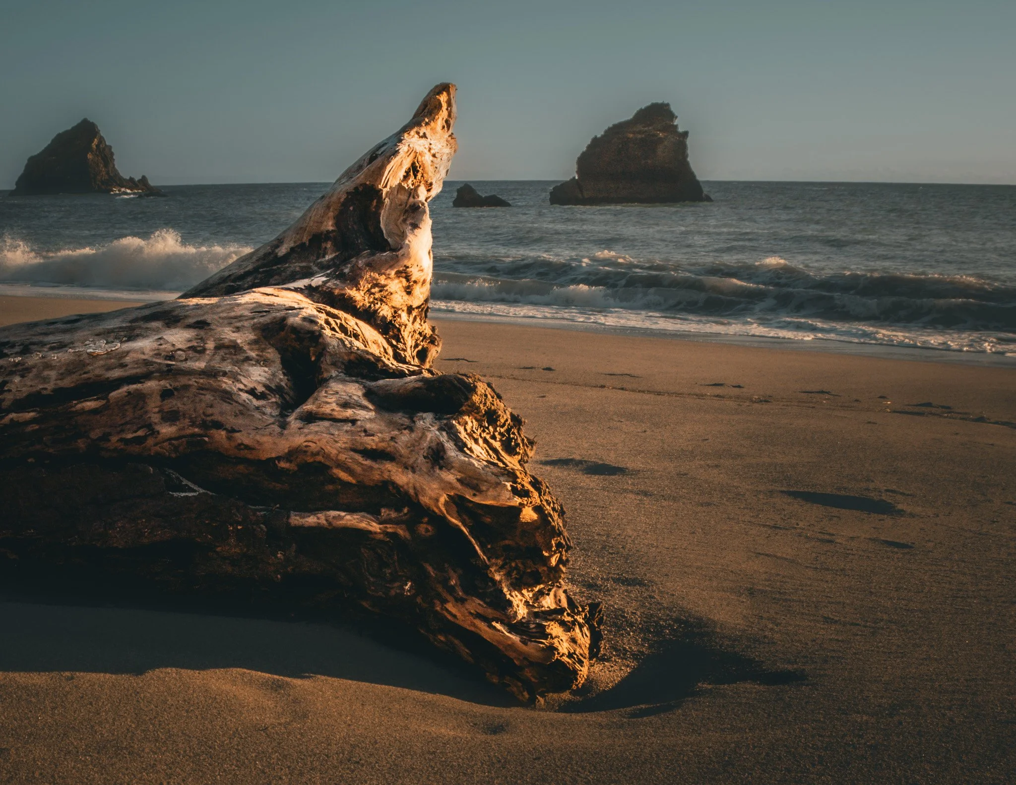 Mendocino Coast VI