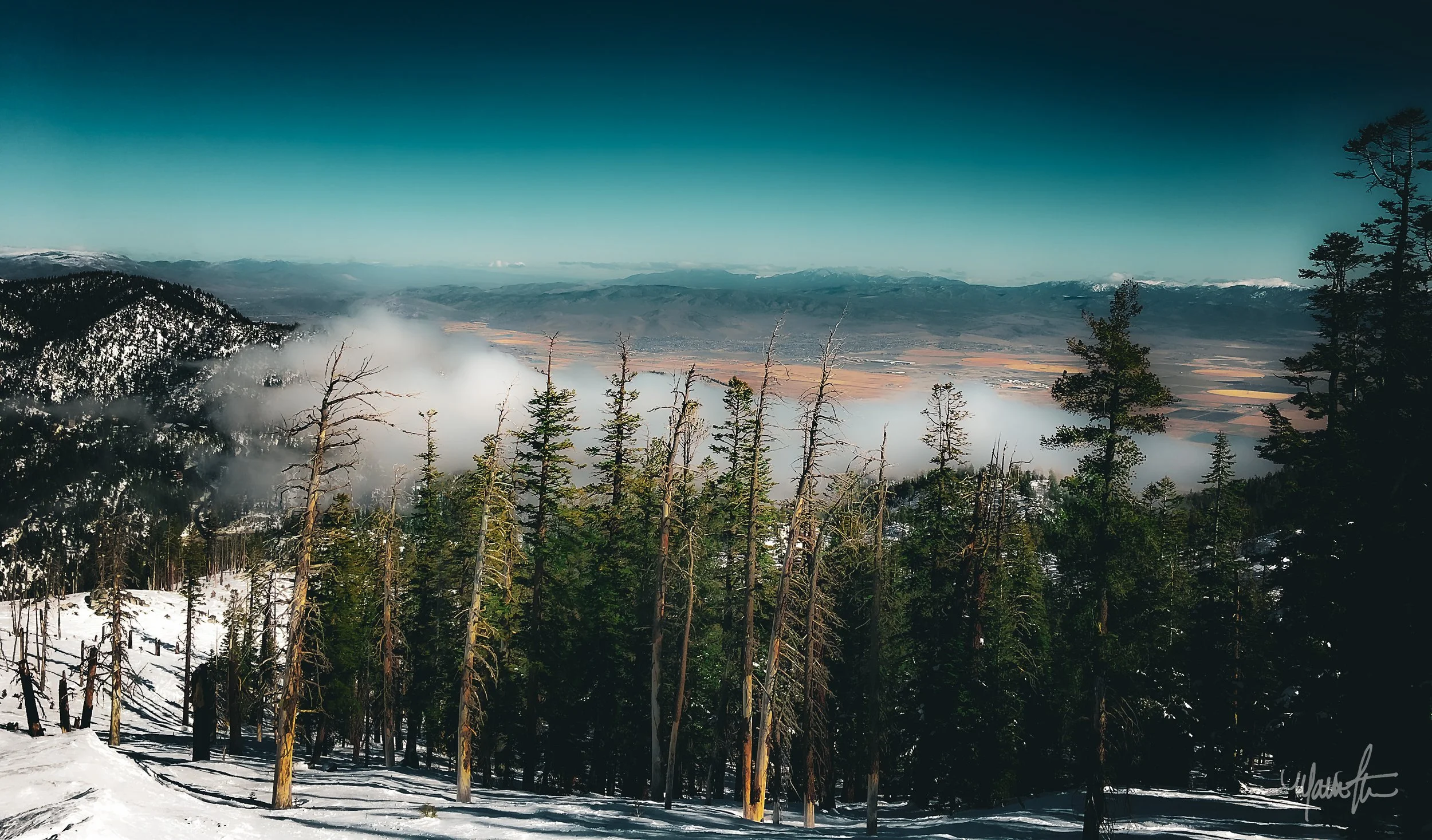 Snow-covered mountain landscape with a forest of tall evergreen trees, some bare, in the foreground, rolling hills and a valley with fields in the distance, clouds and mist swirling around the mountains.