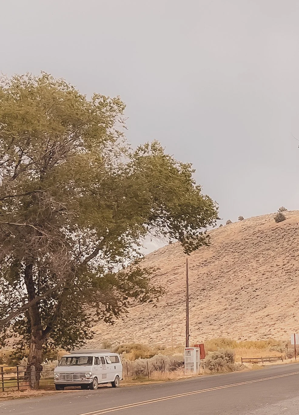 A white vintage van parked beside a tree near a rural road, with a hill and some bushes in the background under a gray sky.