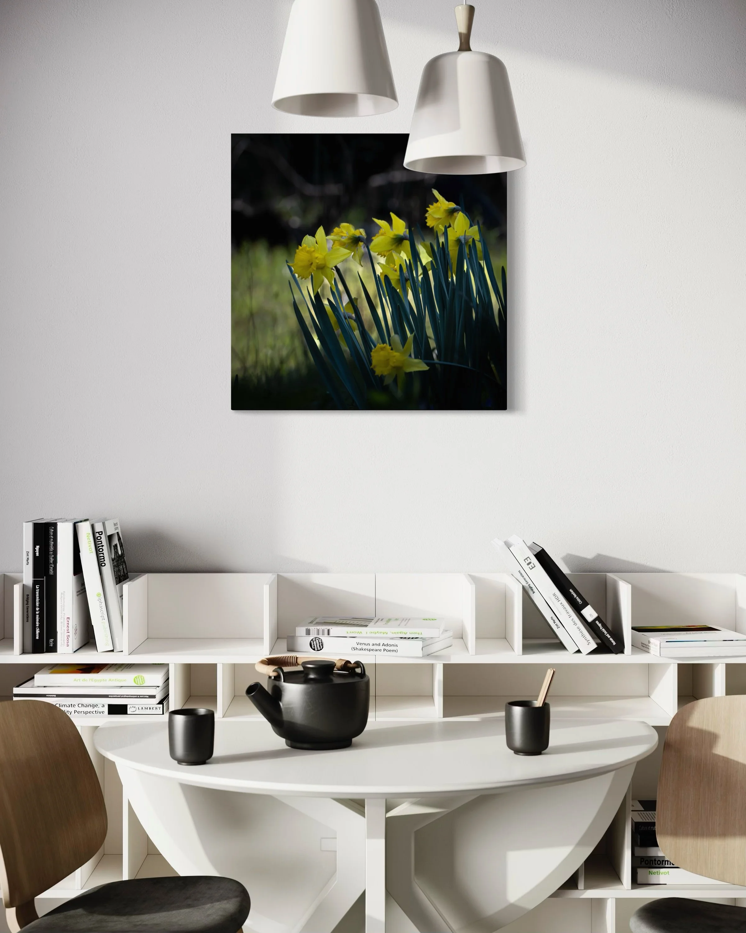 Wine Country Daffodils 