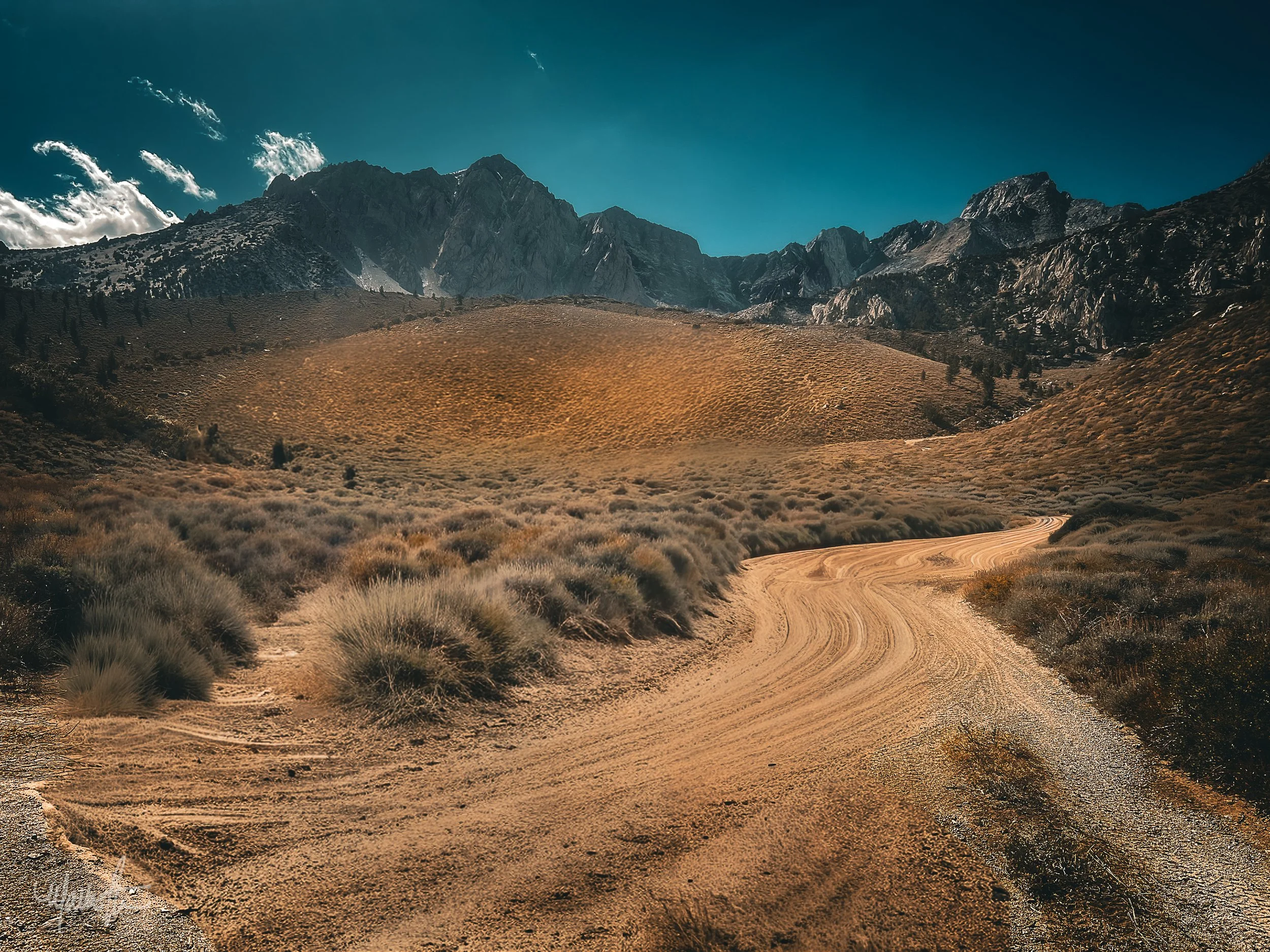 A dirt road winding through desert vegetation with mountains in the background and a partly cloudy sky.