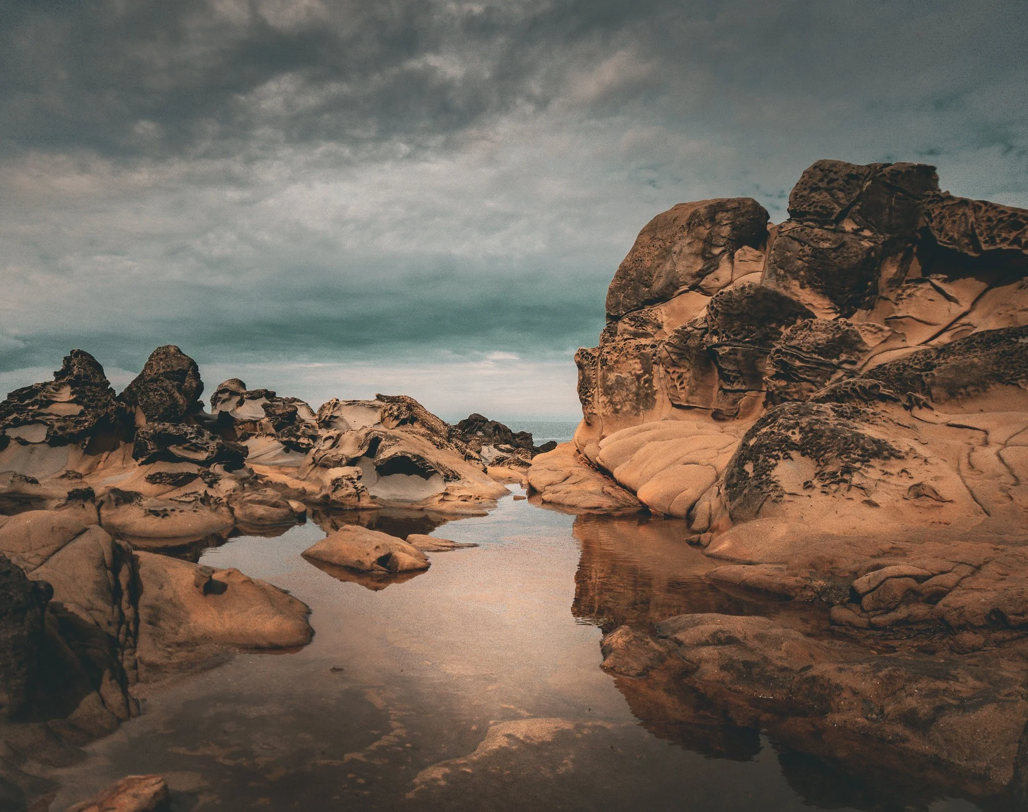 Sonoma Coast II