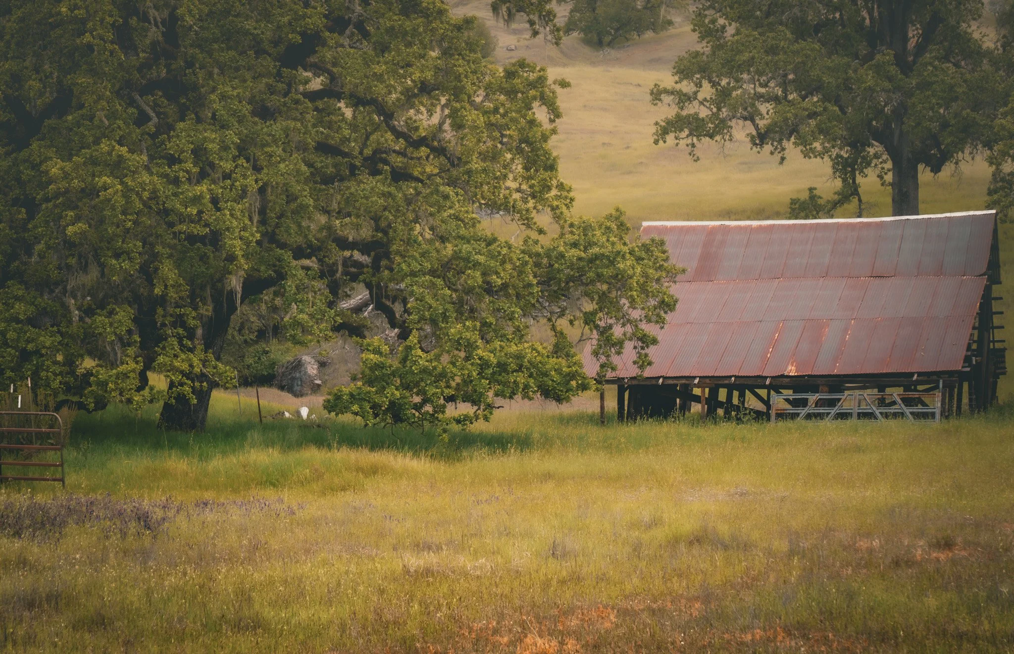 Mendo Barn II