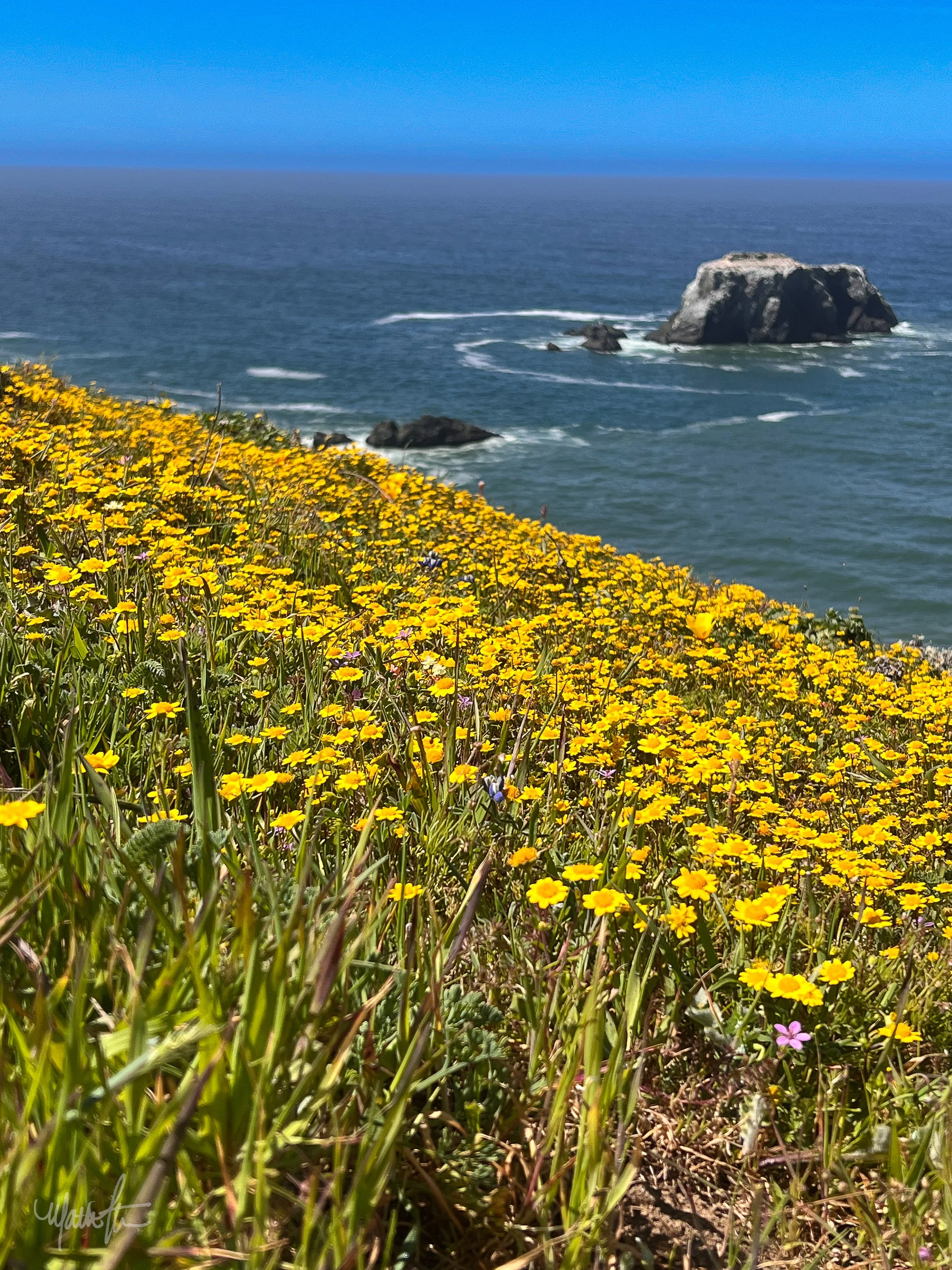 Coastal Collection-04