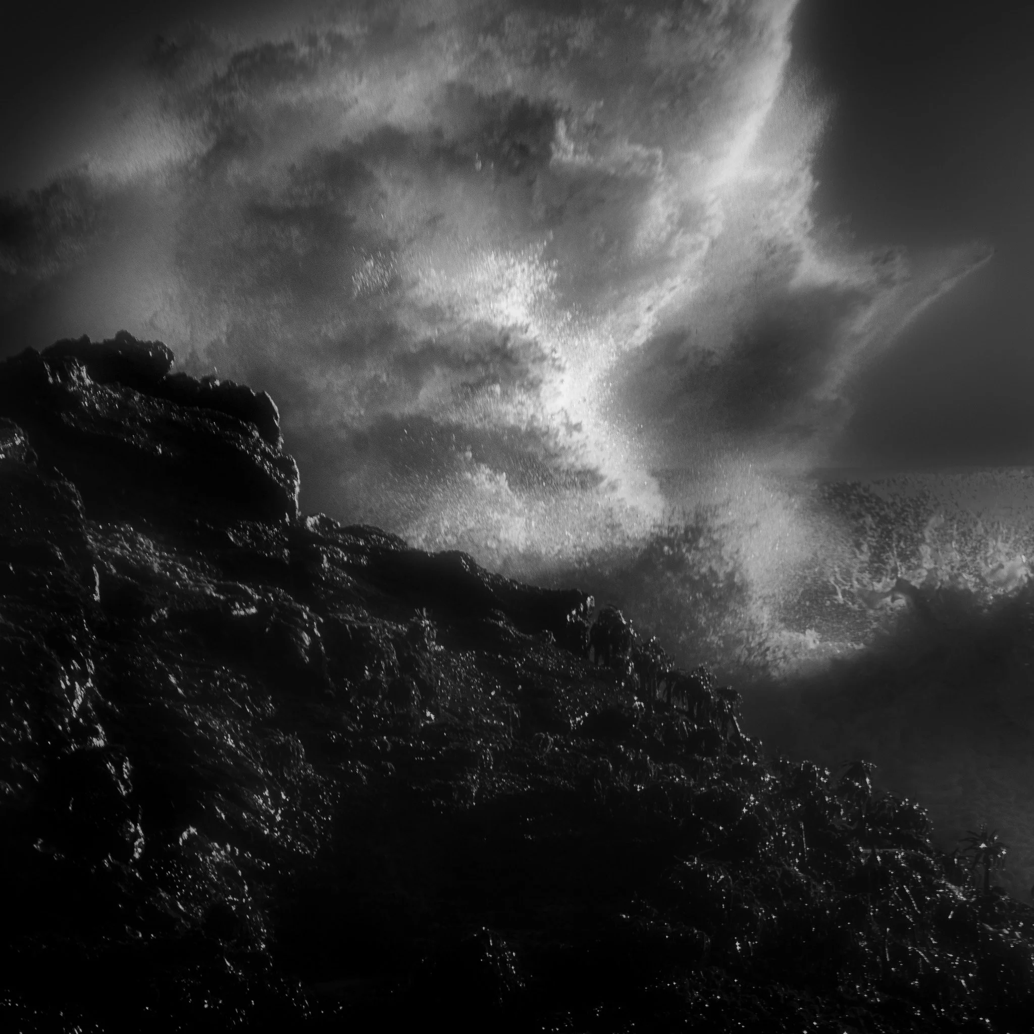 CANYONLANDS TREE-1.jpg