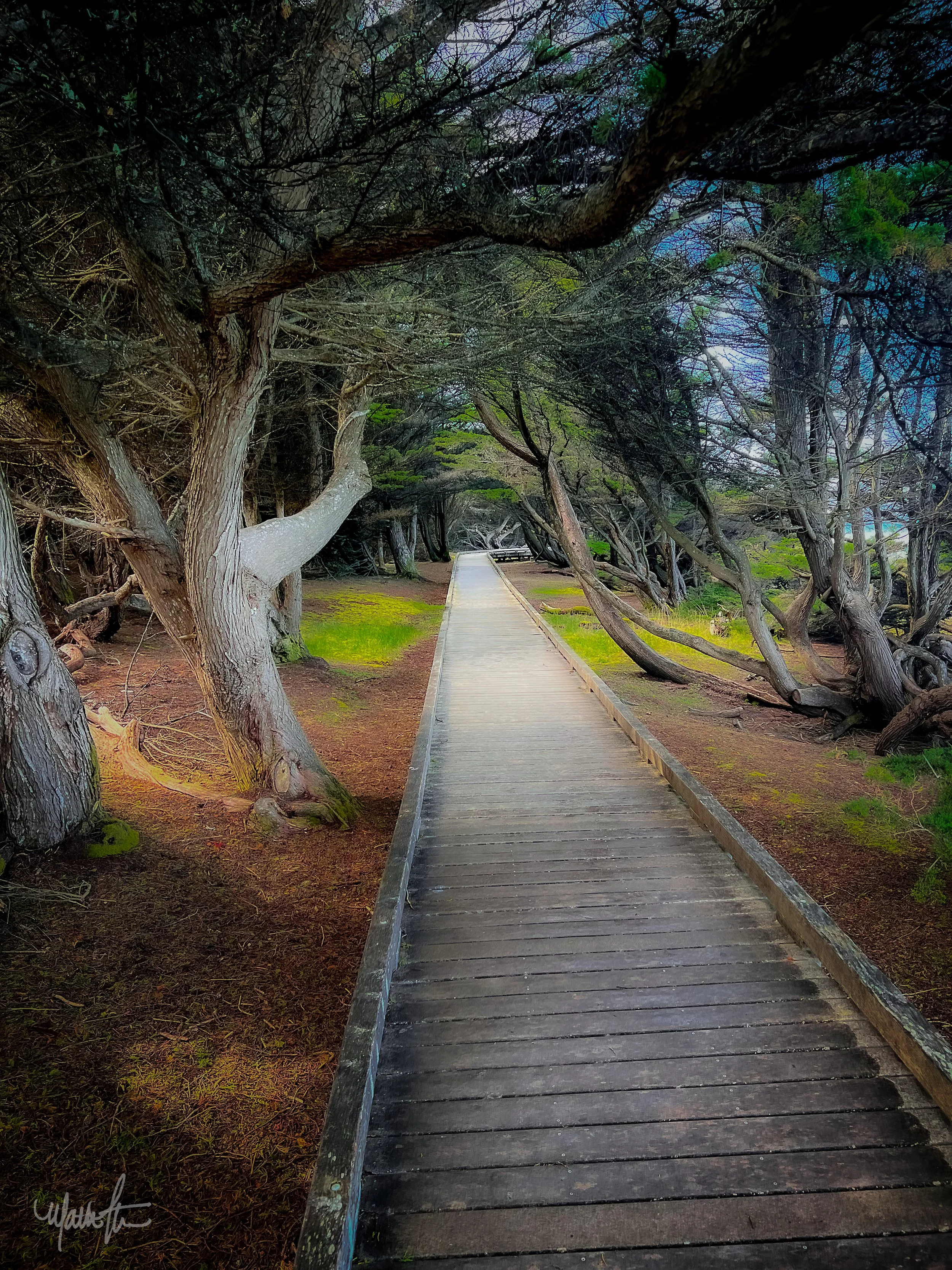 Coastal Collection-03